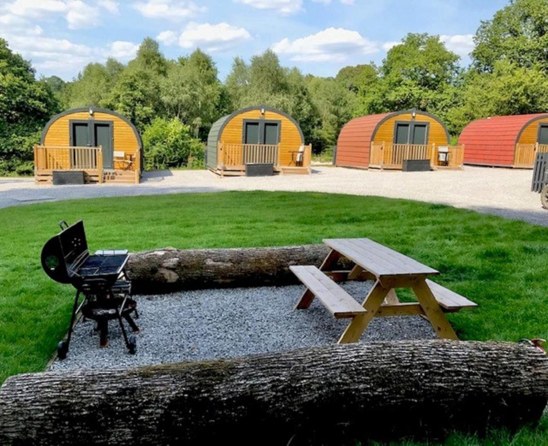 ニース Earth Pod 2 Pet Friendlyヴィラ エクステリア 写真